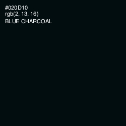#020D10 - Blue Charcoal Color Image